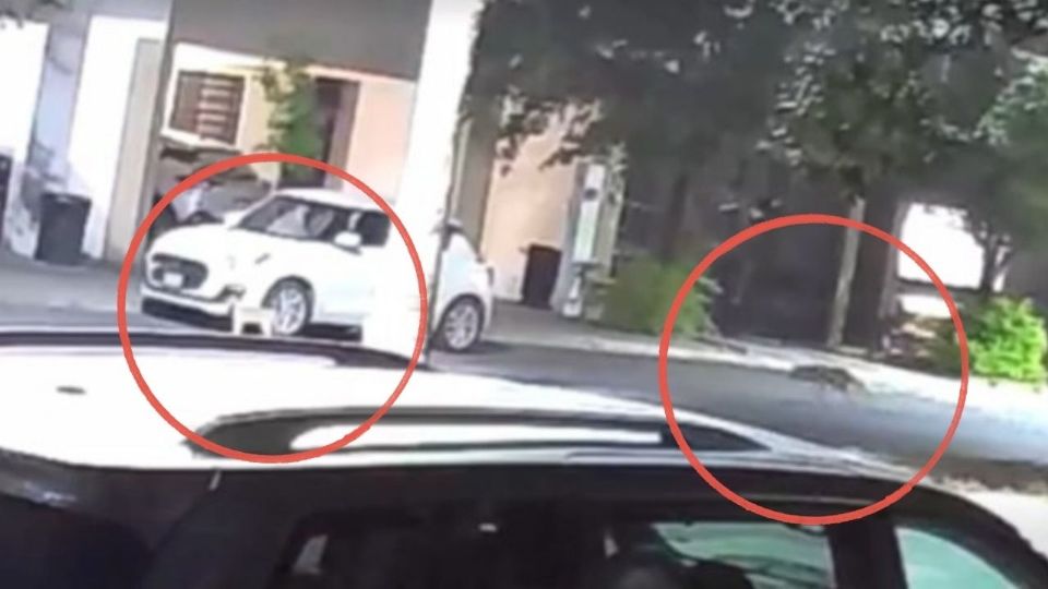 El ataque fue captado en video en un sector de Cumbres García y difundido por vecinos a través de redes sociales.
