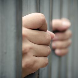 Extraditan y encarcelan a cirujano por feminicidio