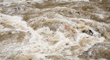 VIDEO | Combi queda varada por inundación en Edomex