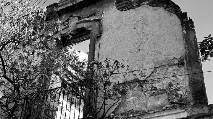 Mirando el Centro