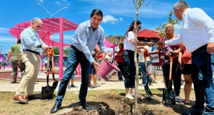 Reforestan parque en Villas de San Francisco con 50 árboles nativos