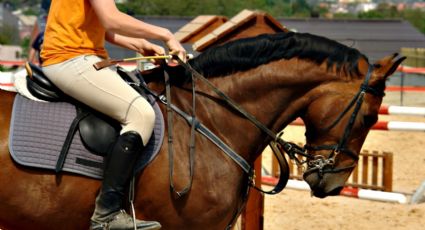 Mega Cabalgata Norteña 2026: Esta será la ruta y cierres viales del evento del Mundial 2026