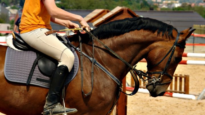 Mega Cabalgata Norteña 2026: Esta será la ruta y cierres viales del evento del Mundial 2026