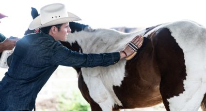 Mike Flores impulsa Kawayo, santuario para caballos rescatados en Nuevo León