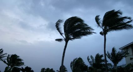 Cancelan clases en Guerrero por llegada de Tormenta Boris