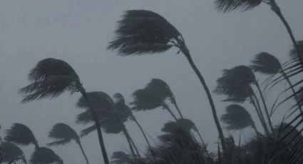 CFE está preparada ante llegada de Tormenta Boris