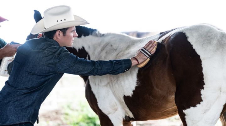 Mike Flores impulsa Kawayo, santuario para caballos rescatados en Nuevo León