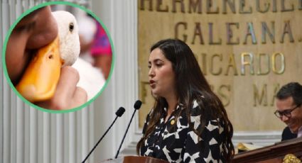Ley Merlín en CDMX: buscan proteger a animales que generan ingresos