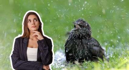 Clima en Monterrey: ¿Hay posibilidad de lluvia para mañana 2 de julio?