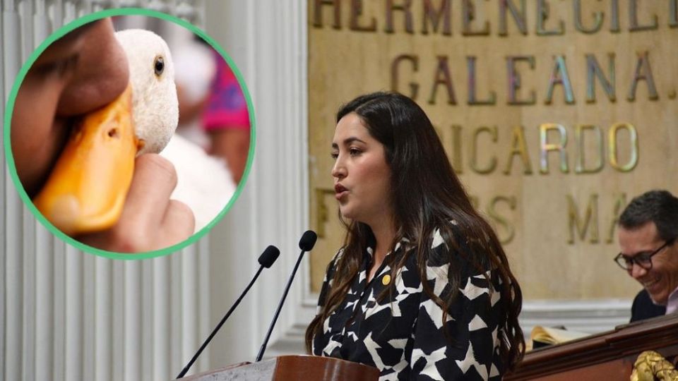 Establece que parte de los recursos generados por la participación de animales en actividades económicas se destinen a su alimentación, atención veterinaria y bienestar integral.