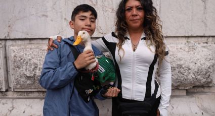 Silencio en el INVI por vivienda para el Pato Merlin