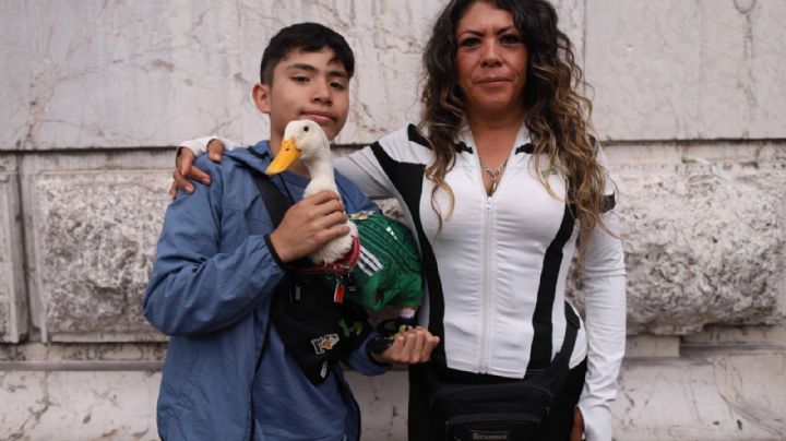 Silencio en el INVI por vivienda para el Pato Merlin