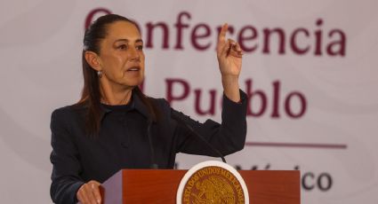SRE denuncia en EU la muerte de 17 connacionales por ICE