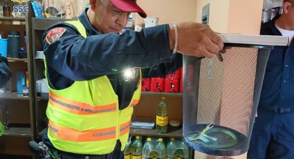 Capturan víbora dentro de una cocina en la Narvarte