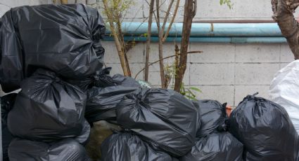 Localizan un feto dentro de una bolsa en la colonia Sarabia de Monterrey