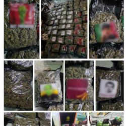 Aseguran 50 kilos de marihuana en la Venustiano Carranza