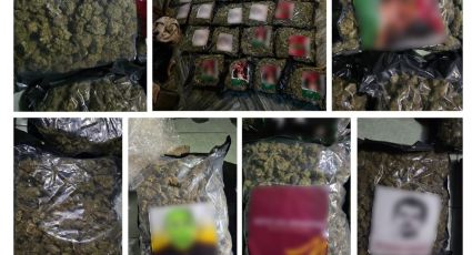 Aseguran 50 kilos de marihuana en la Venustiano Carranza