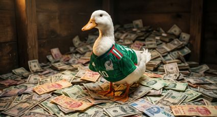 ¿Cuánto vale el Pato Merlín? De acuerdo con especialistas