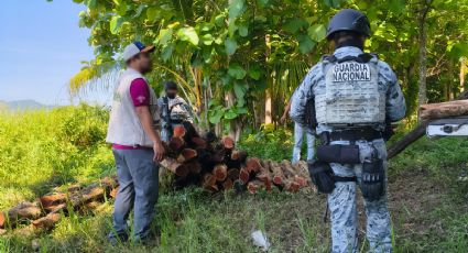 Profepa y Conanp ejecutan masivo operativo contra delitos ambientales