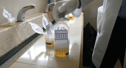 Impulsa PVEM antidoping a legisladores