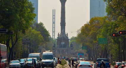 Hoy No Circula en CDMX y Edomex este 7 de julio