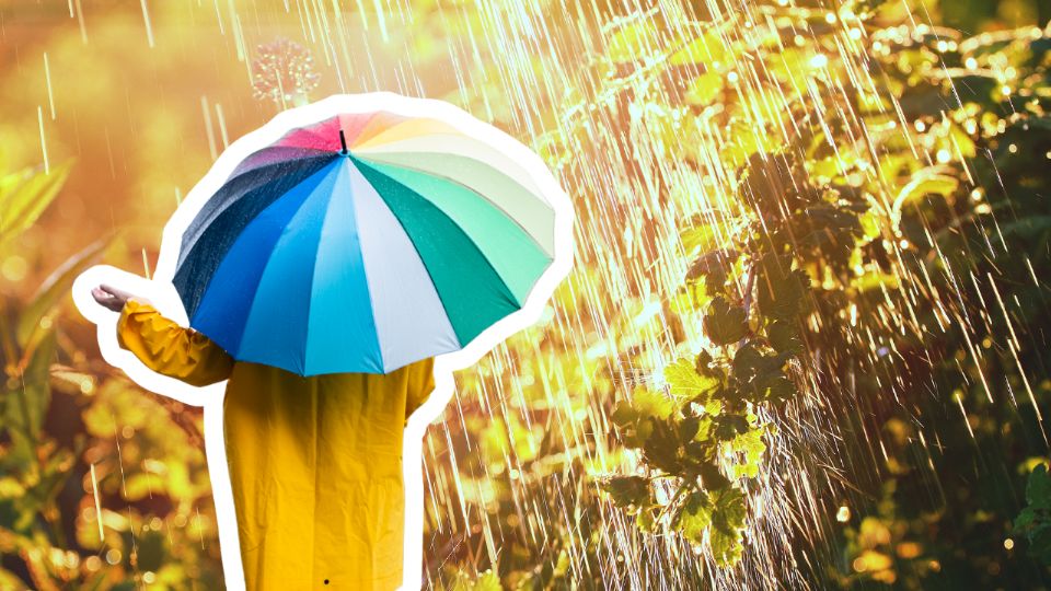 Monterrey registrará este martes una temperatura máxima de 35 grados con probabilidad de lluvias aisladas.