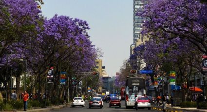 Hoy No Circula en CDMX y Edomex este 8 de julio