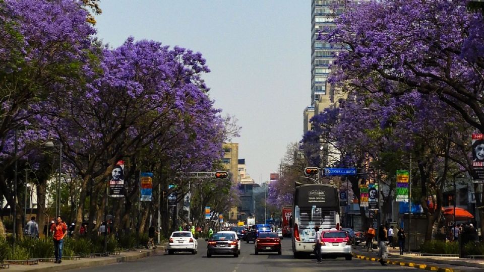 En CDMX los automóviles con hologramas 00 y 0, así como los transportes eléctricos e híbridos, quedan totalmente libres de estas restricciones.