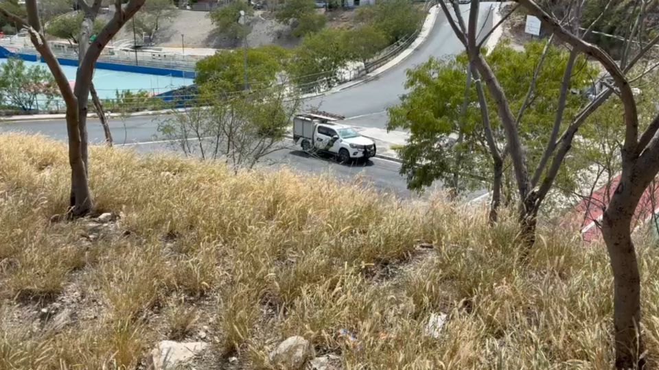 Peritos de la Fiscalía investigan el hallazgo de un cráneo humano semienterrado en un parque de la colonia San Pedro 400.