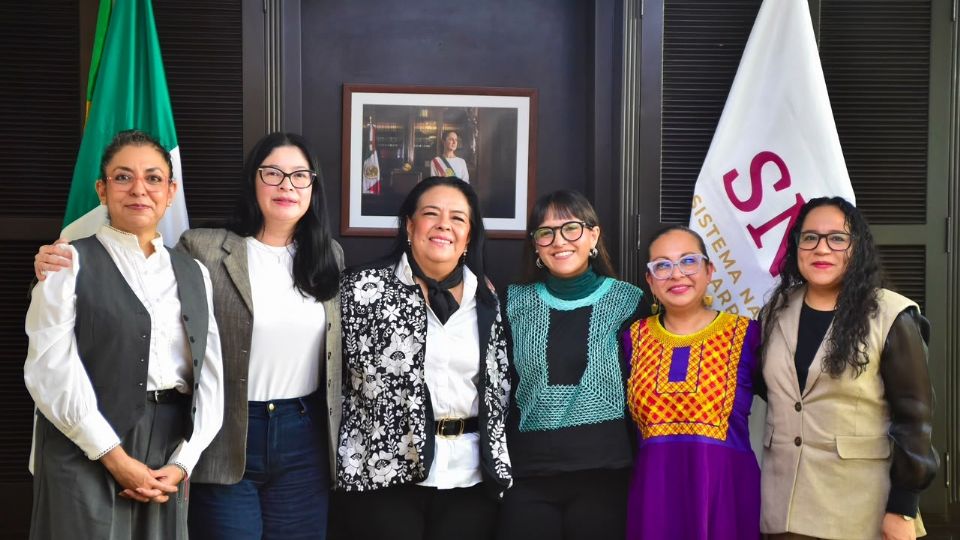 Destacan que los sistemas DIF han sido durante décadas la principal red pública de cuidados, mediante servicios como centros de rehabilitación.