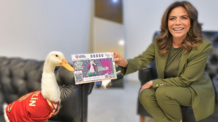 De las calles a la Lotería, pato Merlín hace historia